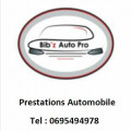 Bib'z Auto Pro