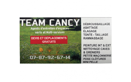 Team Cancy