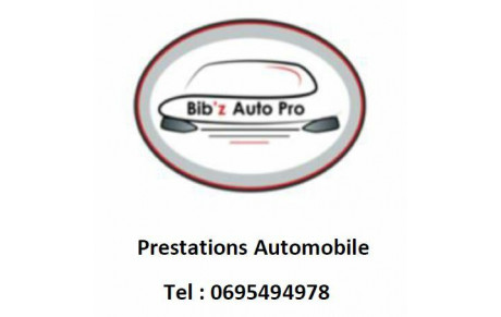 Bib'z Auto Pro